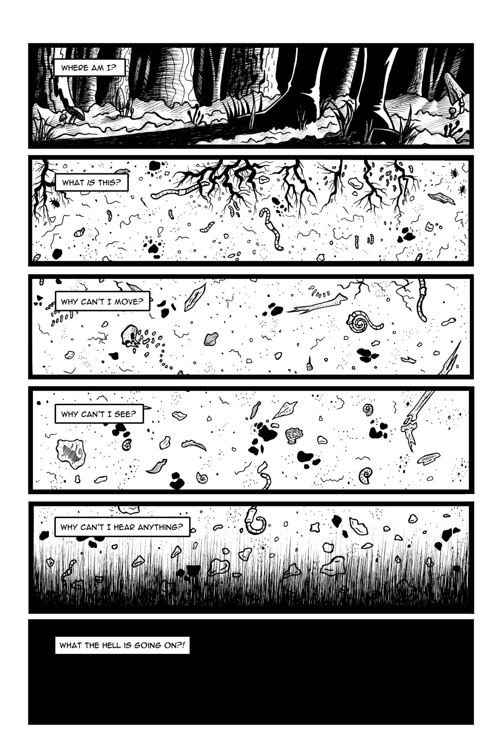 Page 2 of Ragdoll #3